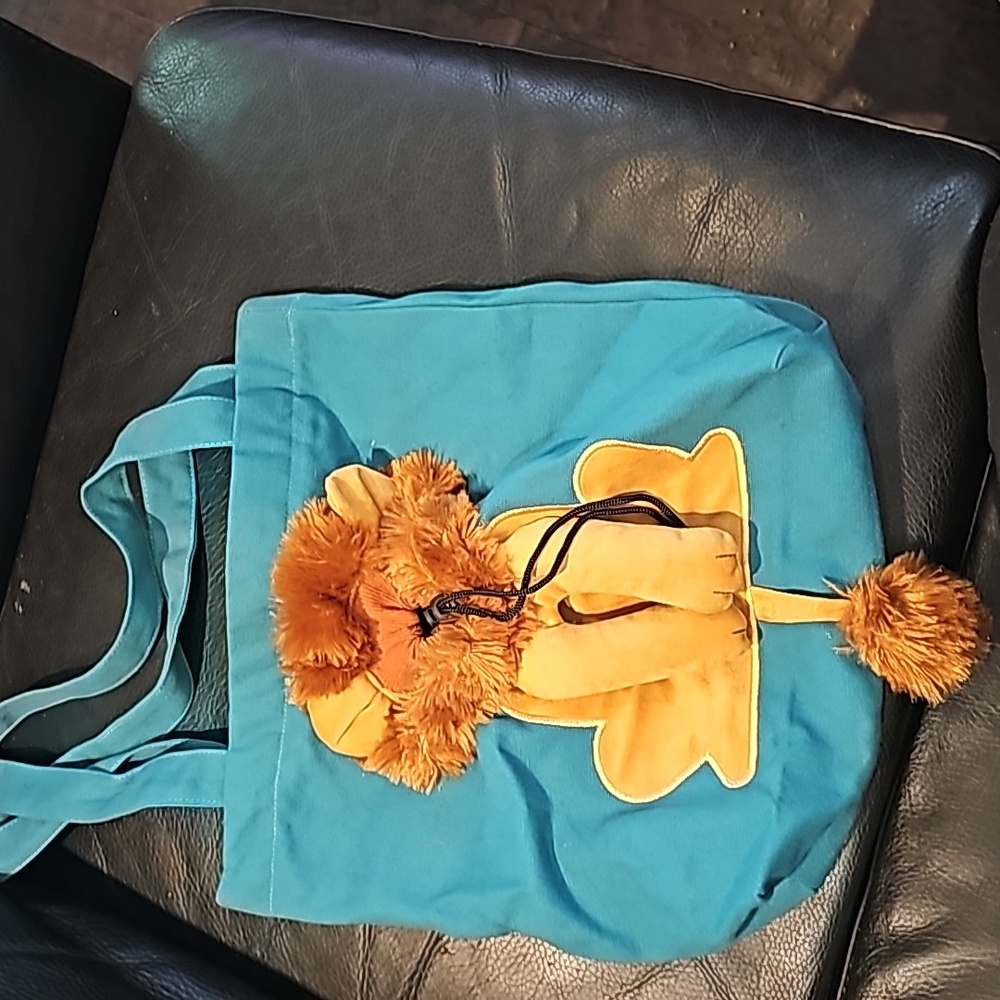 Small Cloth Bag Small Pet Carrier